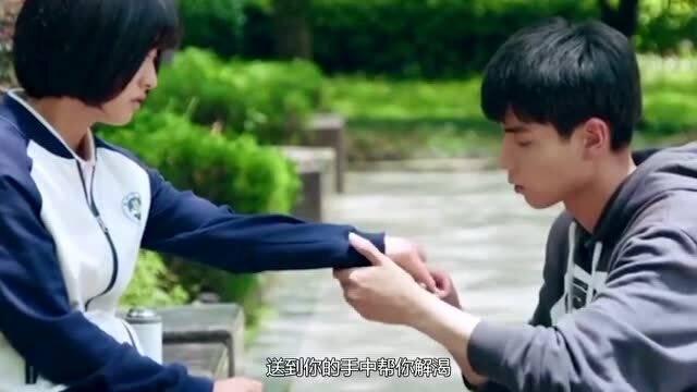 河南首例克隆羊“小龙”诞生